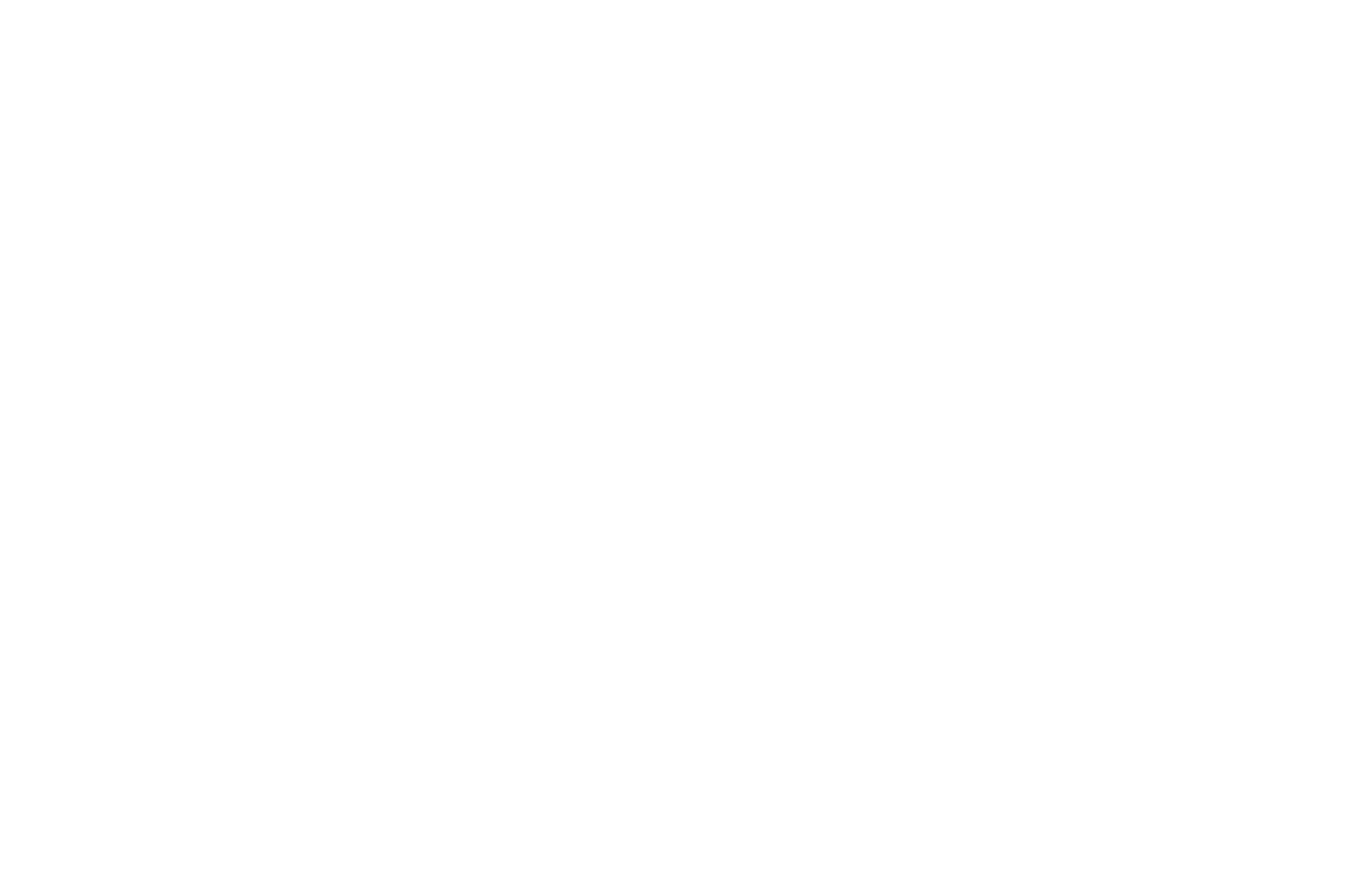 Home - GITS